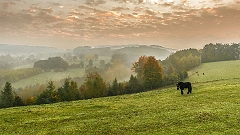 Ardennen herfst 2015